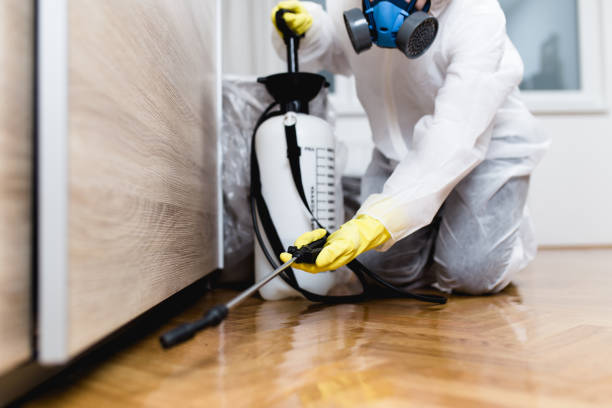 Best Bed Bug Extermination  in Union, SC