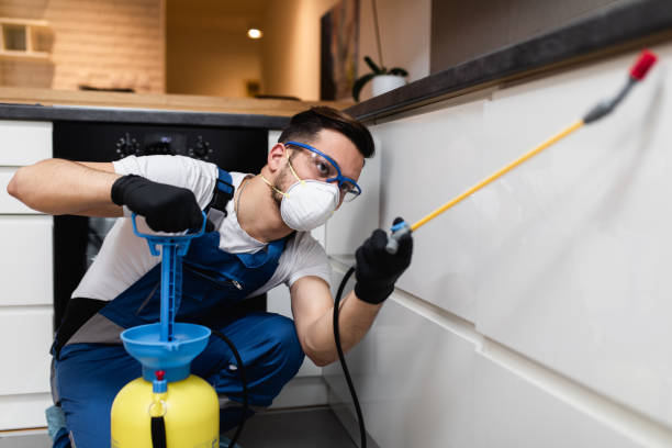 Best Cockroach Control Services  in Union, SC