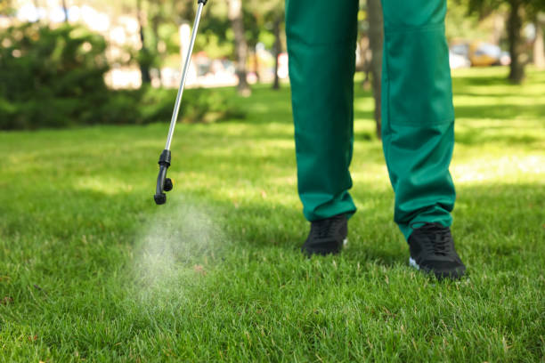 Best Affordable Exterminators  in Union, SC