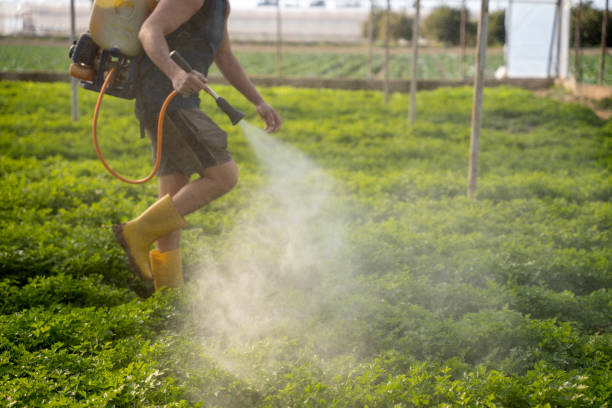 Best Pest Control for Businesses  in Union, SC