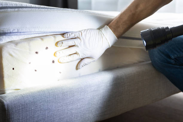 Best Commercial Pest Control Services  in Union, SC