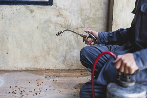 Best Termite Control Services  in Union, SC
